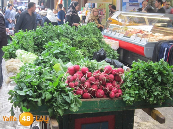 zatoon bayareq (15).JPG